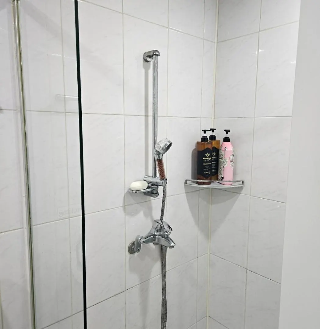 Wisma tamu Gogohouse Hotel Incheon